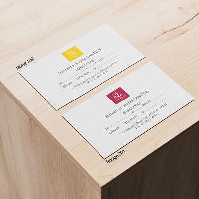 Marianne couleurs 85x54 - Carte de RDV